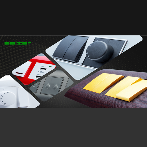 Salzer Switches